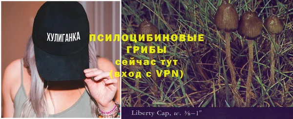 jwh Магас