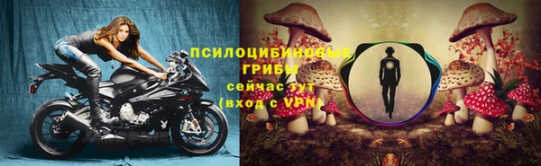 jwh Магас